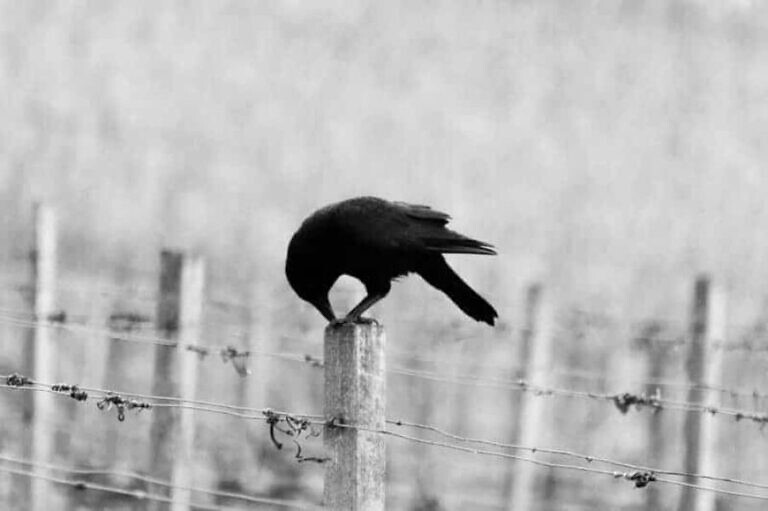 Photo by Hannes Wolf