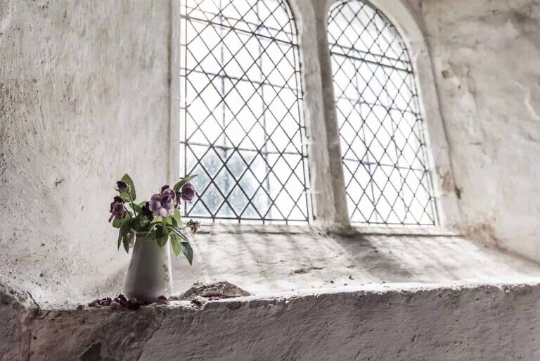 Photo by Jez Timms