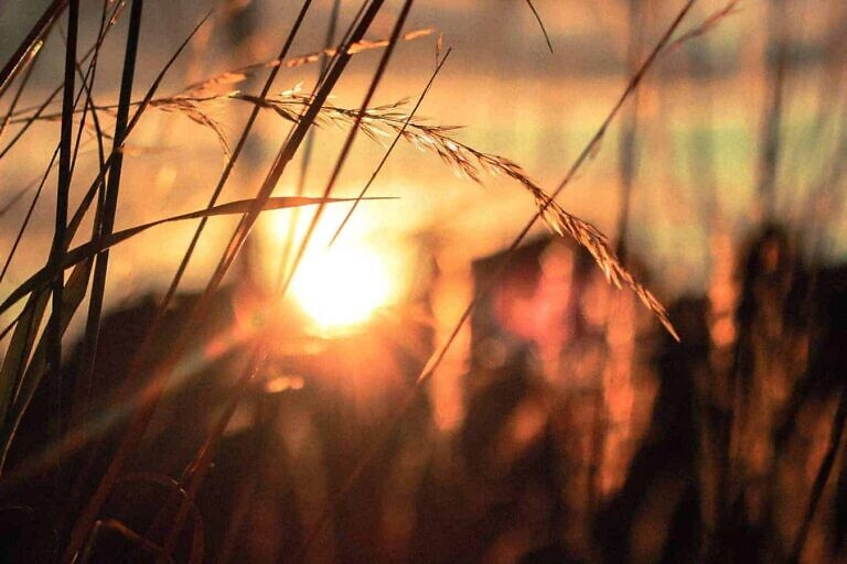 Photo by Rose Erkul