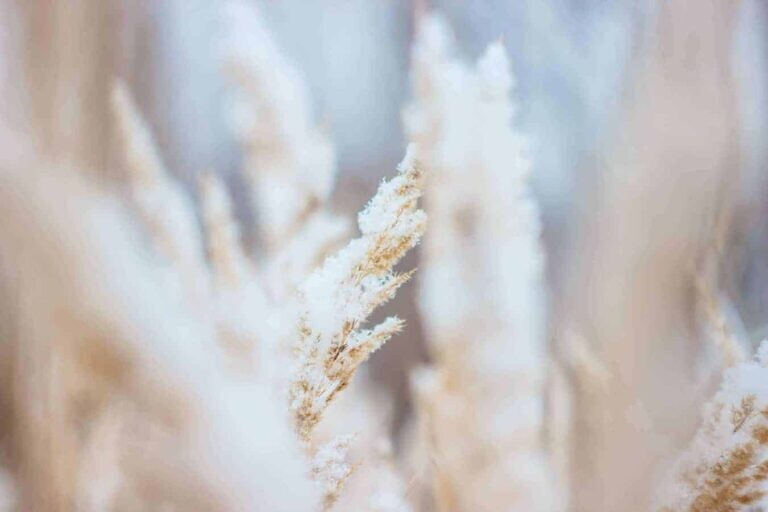 Photo by Natasha Vasiljeva