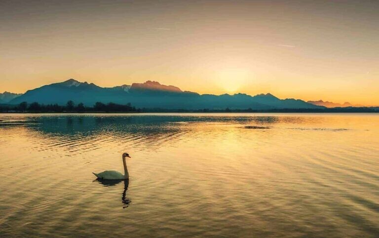 Photo by Travis Blessing