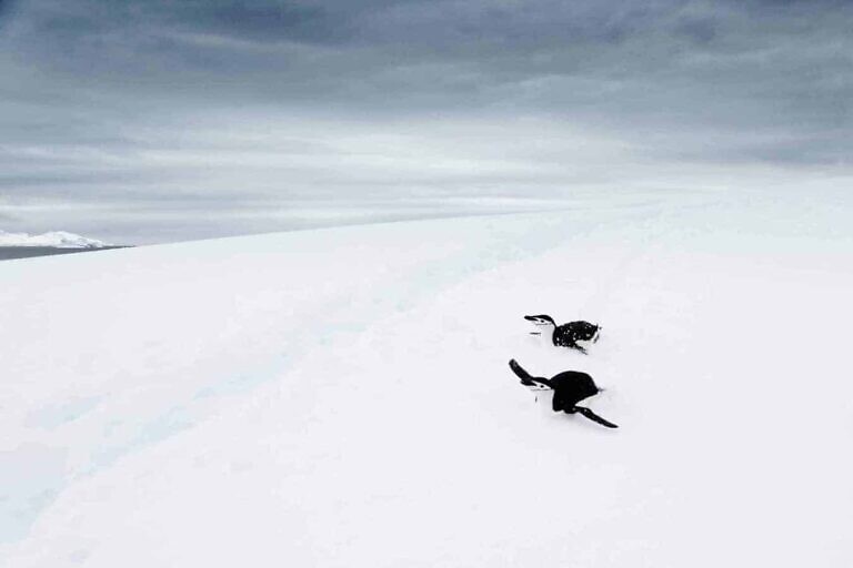 Photo by lucas huffman