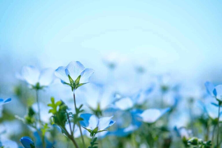 Photo by Sora Sagano
