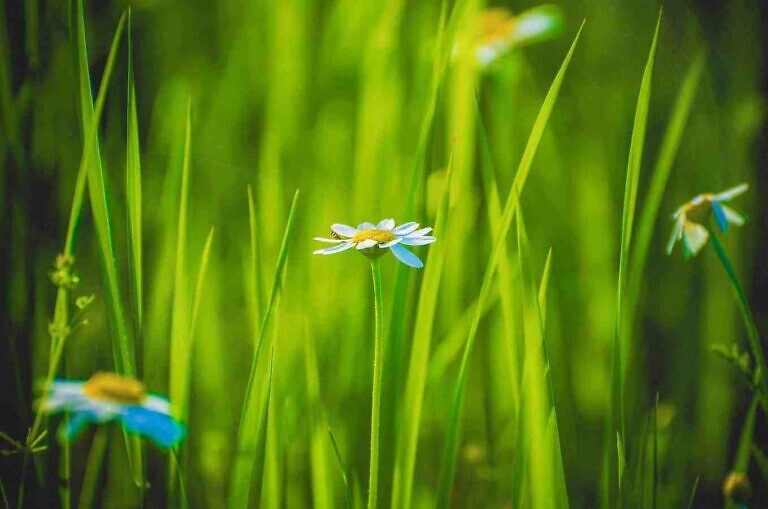 Photo by Roman Akhmerov