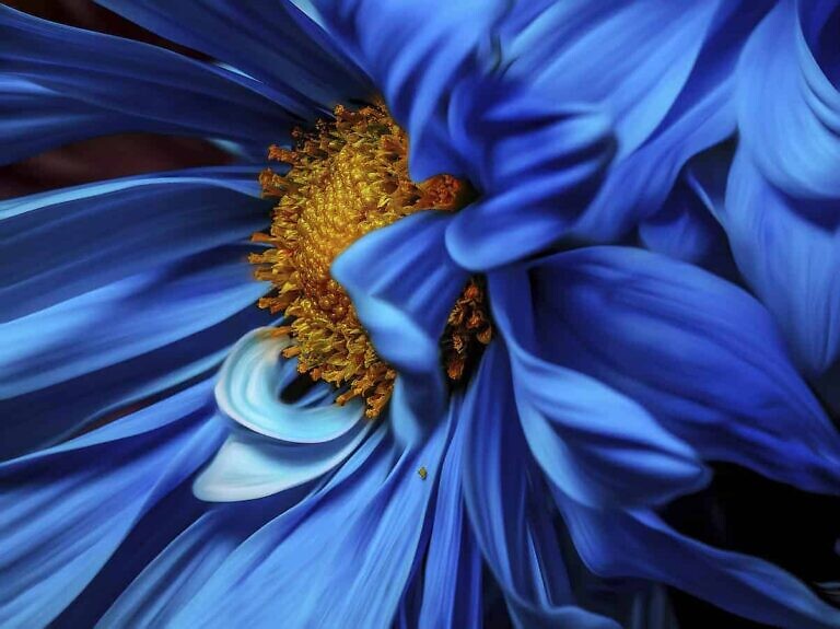 Photo by Al Martin