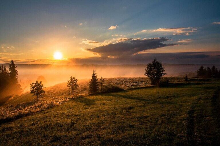 Photo by Dawid Zawiła