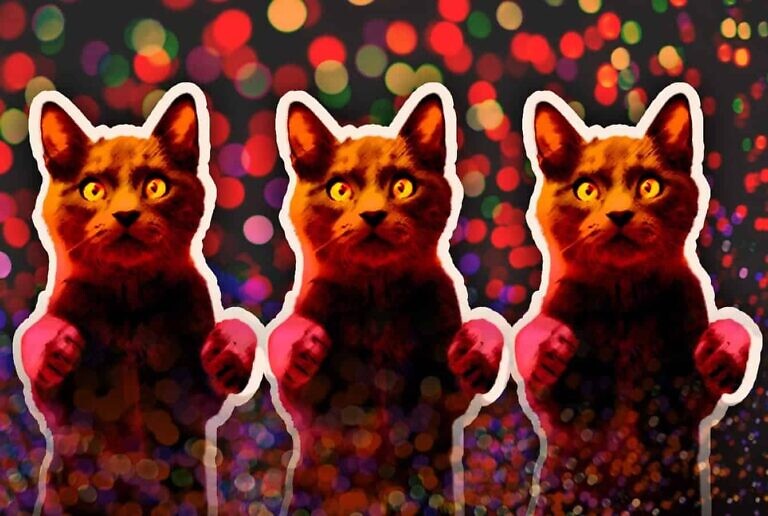 Collage: der Autor, mit Fotos von Marko Blažević (Katze) und Katya Austin (Lichteffekte)