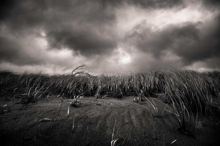 Photo by Arūnas Naujokas