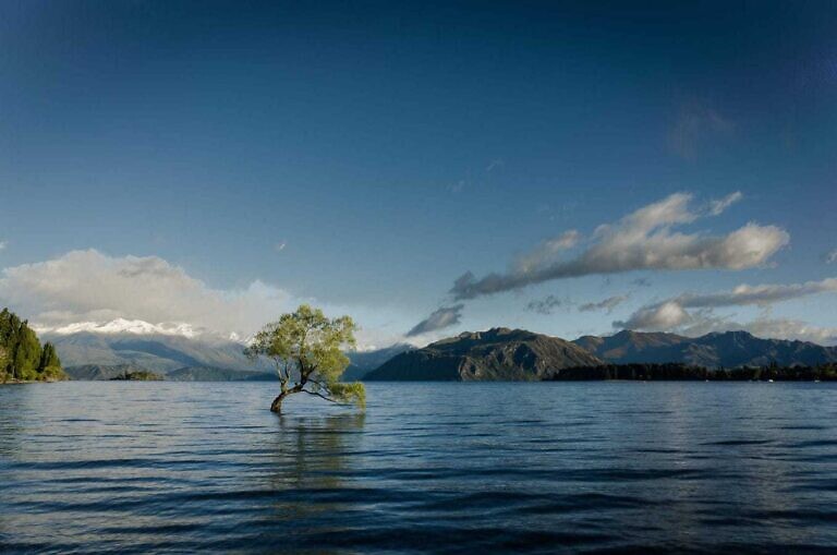 Photo by Jasper van der Meij