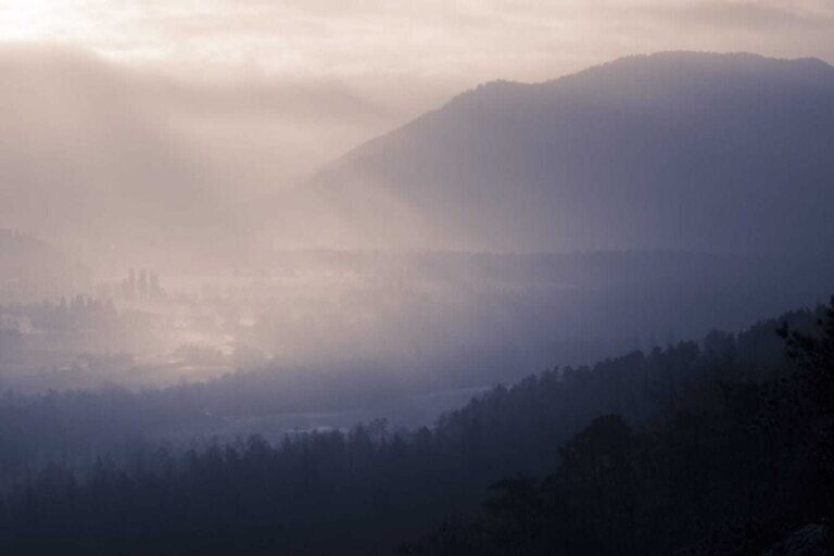 Photo by Thomas Millot