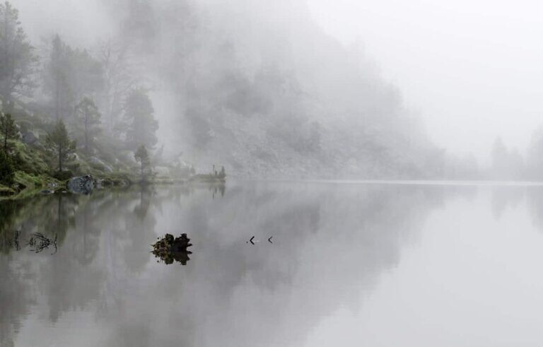 Photo by Simon Buchou