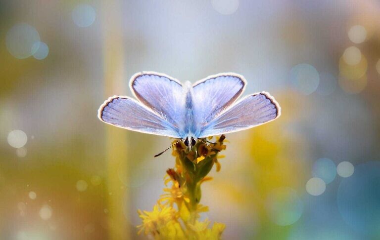 Photo by Krzysztof Niewolny
