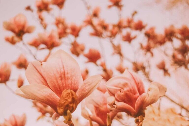 Photo by Sandra Seitamaa