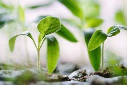 Das linke Weltbild ist auf Lügen gebaut – und manchmal auch die Biographie
