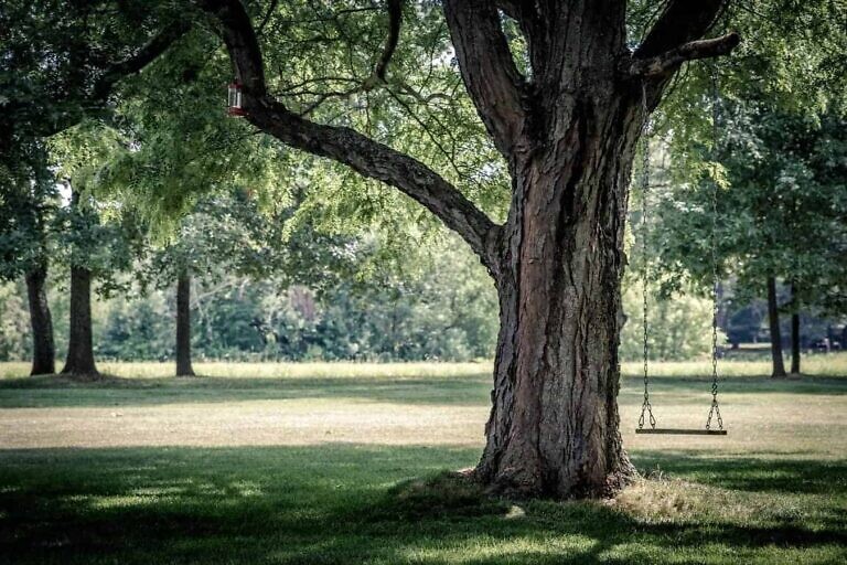 Photo by Ryan Hafey