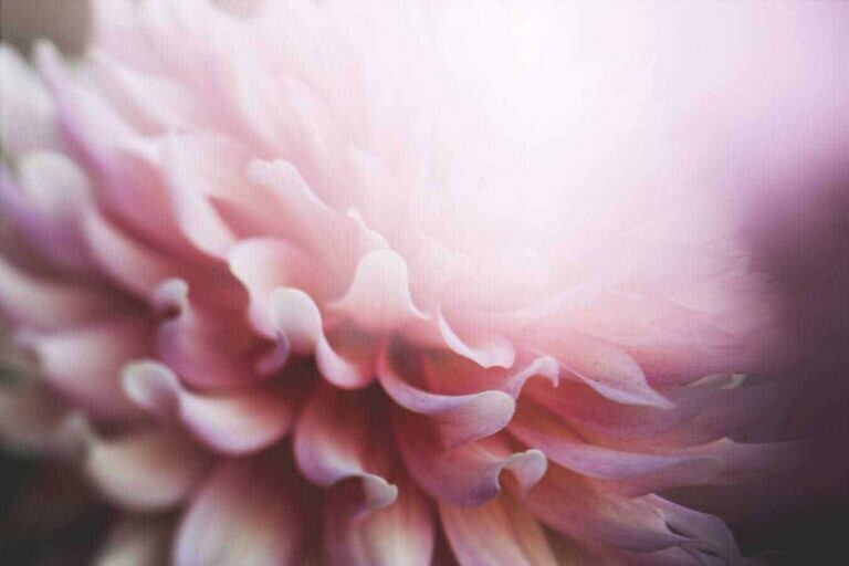 Photo by Kari Shea