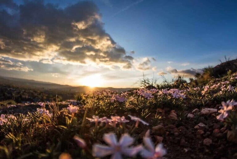Photo by Quinsey Sablan