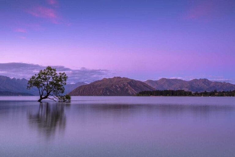 Photo by Ken Cheung