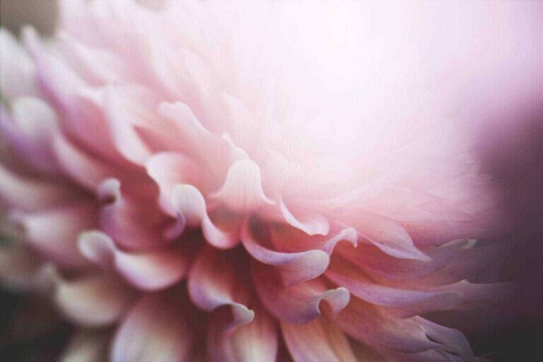 Photo by Kari Shea