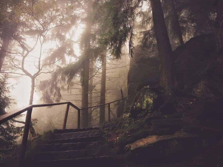 Photo by Beata Ratuszniak