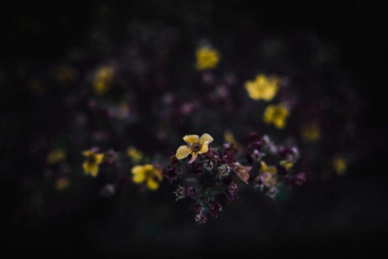 Photo by Haris Suljic