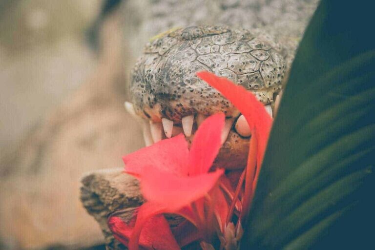 Photo by Alvaro Reyes