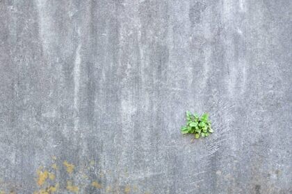 Deutschlands Einheit und die neue Mauer