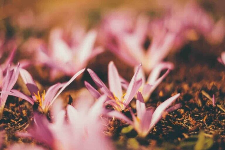 Photo by Aperture Vintage