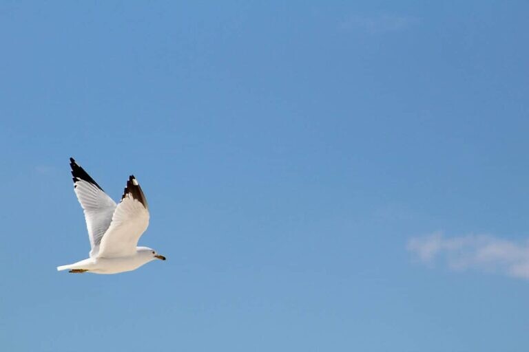 Photo by A.R.T.Paola