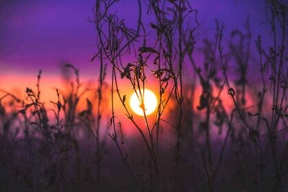 Selbstbestimmung – das große Thema des Jahrzehnts
