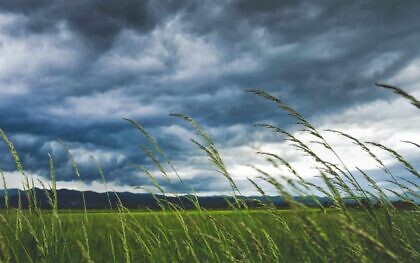 Windkraft ist Gewalt