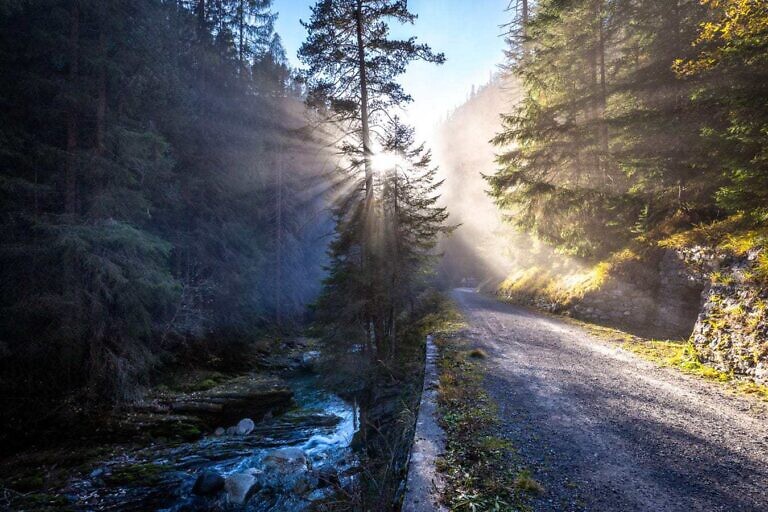 Photo by Damian Markutt