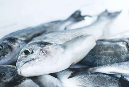 Der Fisch stinkt vom Staatsfunk her