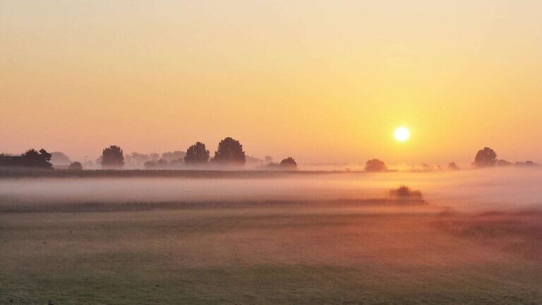 Photo by Dieter de Vroomen