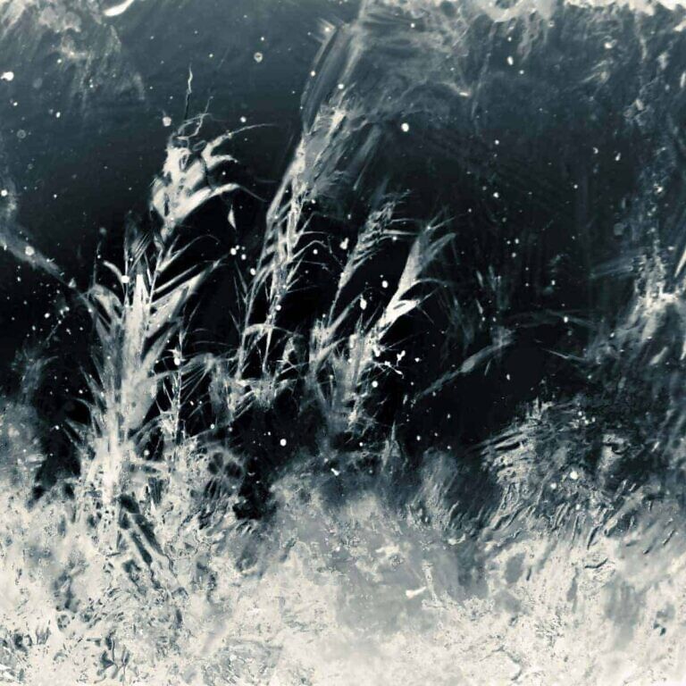 Photo by JR Korpa