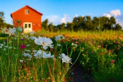 Lächeln, als ob es möglich wäre
