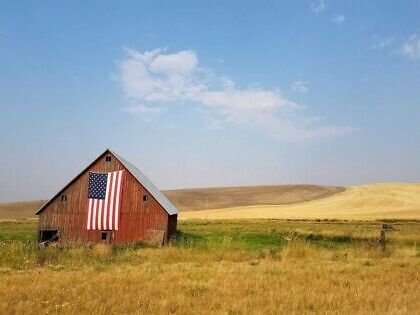 US-Wahl: Das Sieg-Rezept von Donald Trump