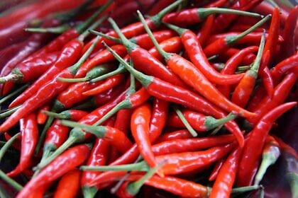 Hört auf, die Chilischoten zu fressen!