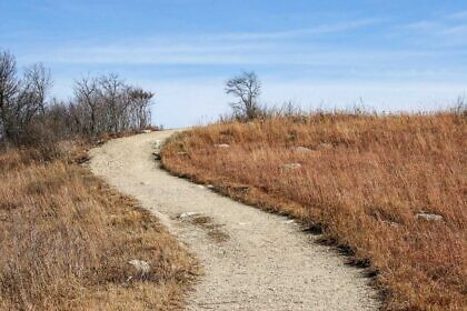 Leser, wir sind längst nicht mehr in Kansas