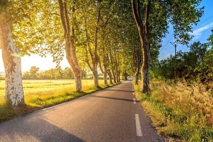 Ernst darf nicht mehr Auto fahren