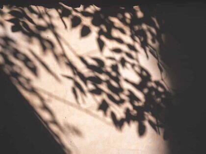 Die Schatten sind fake