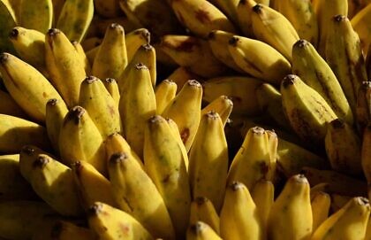 Grüne Bonzen und errötende Bananen