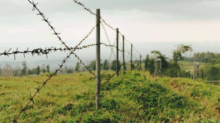 fence on grass field