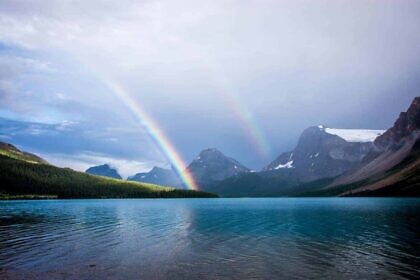Trickdiebe mit Regenbogenflagge