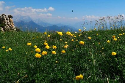 Der Staatsfunk muss …