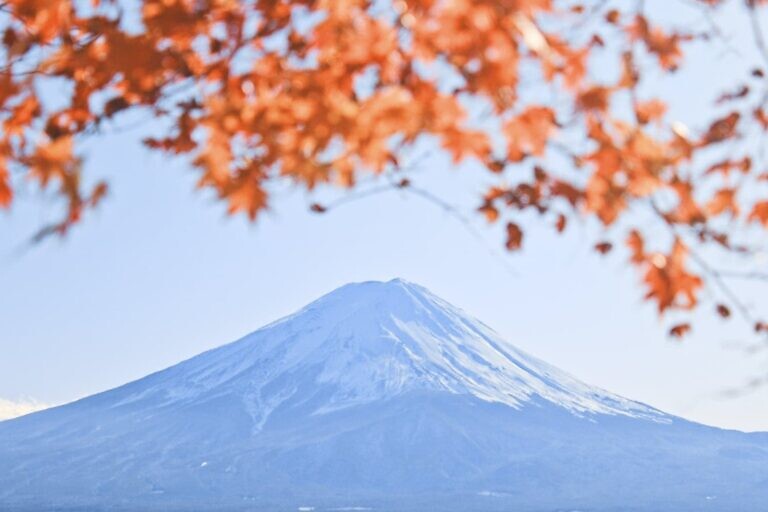 Mt. Fuji