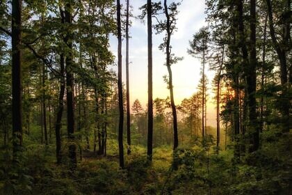 Das neue Tal der Ahnungslosen