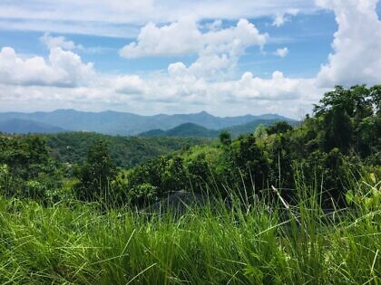 Wollen wir, nicht wahr