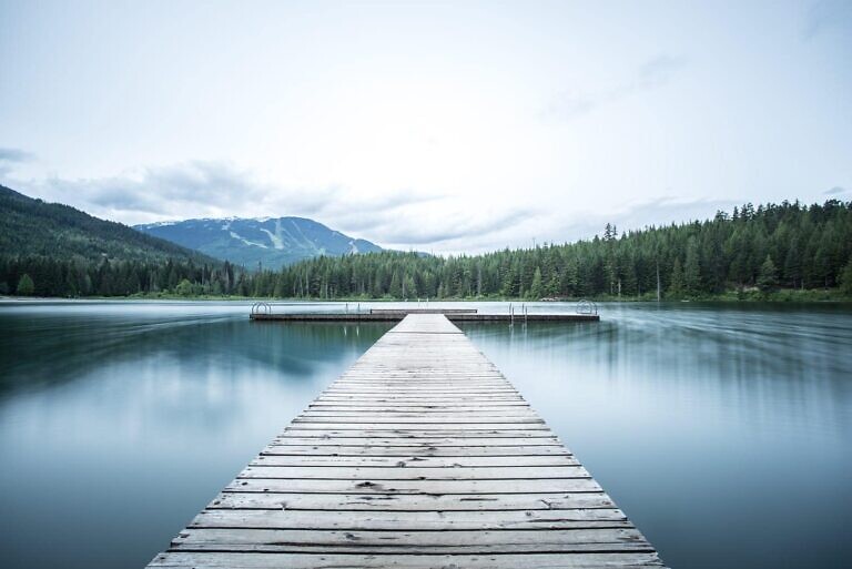 gray wooden sea dock near green pine trees under white sky at daytime