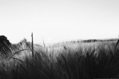 Zwanzigjährige und du, die Truhe hebend